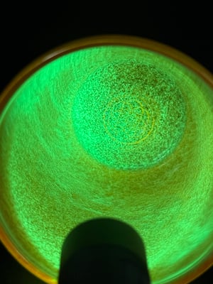 Image of Orange Glow in Dark Pint Glass