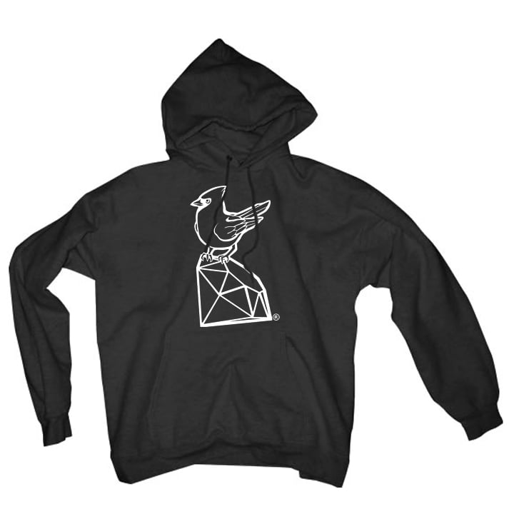 Image of Classic Hoodie