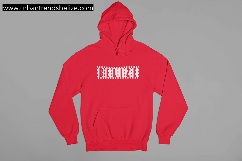 Image of BELIZE- CHECKERED LOGO HOODIE/CREWNECK 
