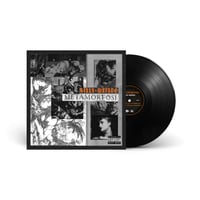 Vinile Metamorfosi Nero (copia artista)