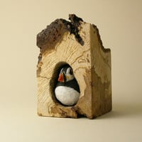 Image 1 of Puffin