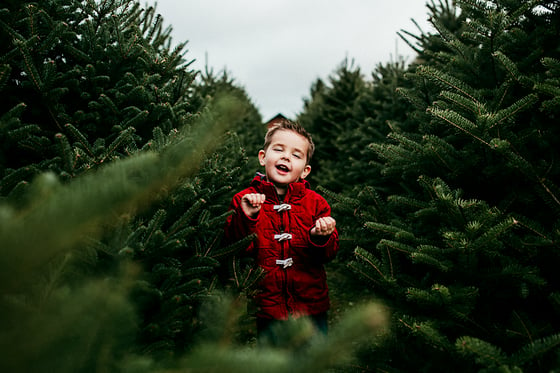 Image of 2019 Christmas Mini Session DEPOSIT remaining balance due at time of session.