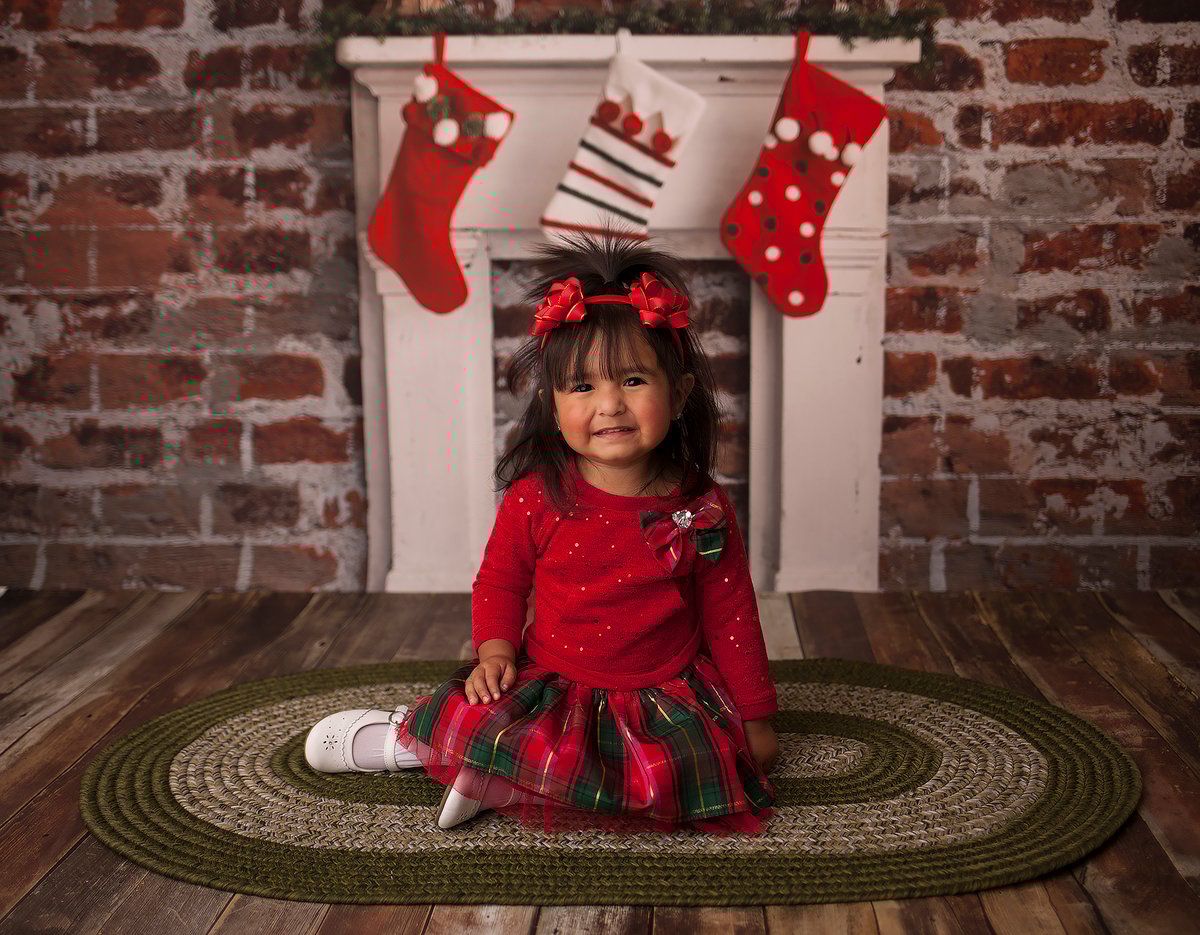 Image of Toy Drive Christmas Minis 2019