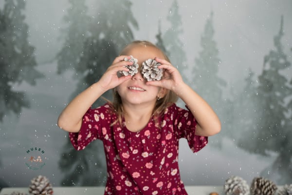 Image of 2019 Holiday/Winter Mini Sessions - Indoor