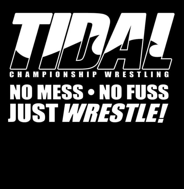 Image of ASSORTED TIDAL T SHIRTS 