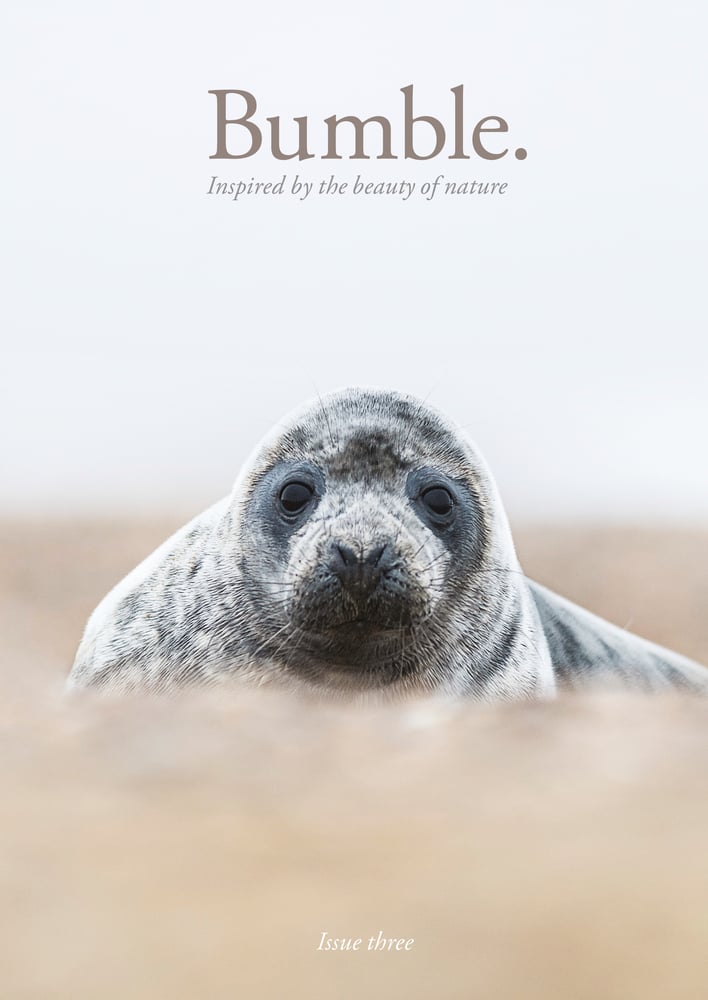 Image of Bumble Issue Three