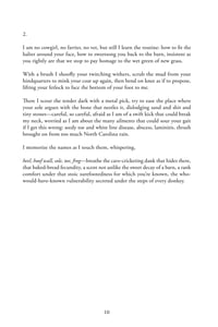 Image 3 of The Donkey Elegies by Nickole Brown