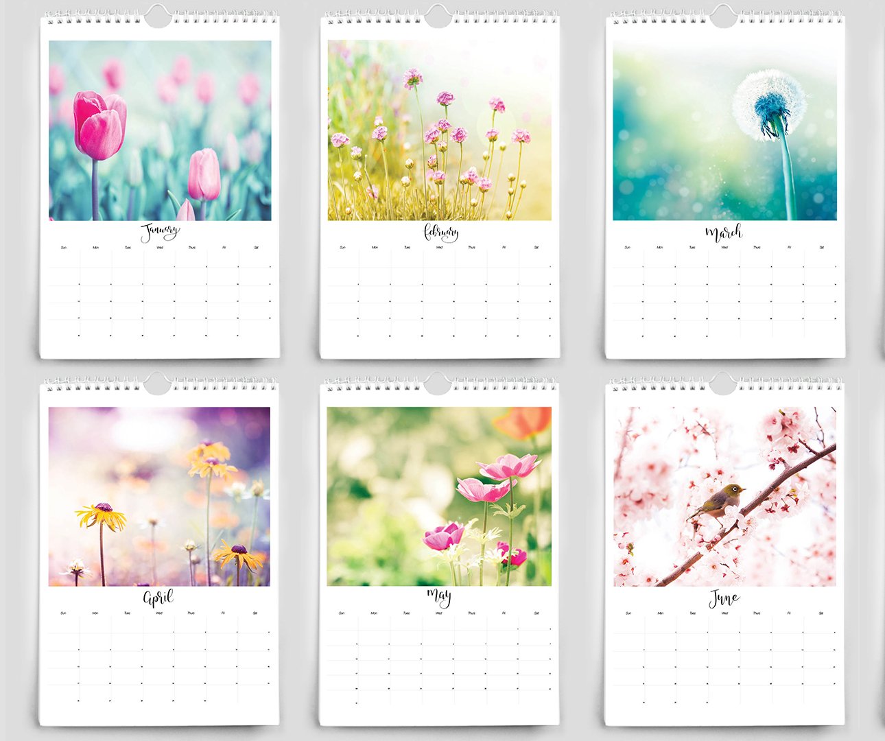 desktop photo flower calendar 2020