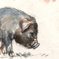 Image 2 of Original Painting - "Cochon et maison Akha" - 30x30 cm