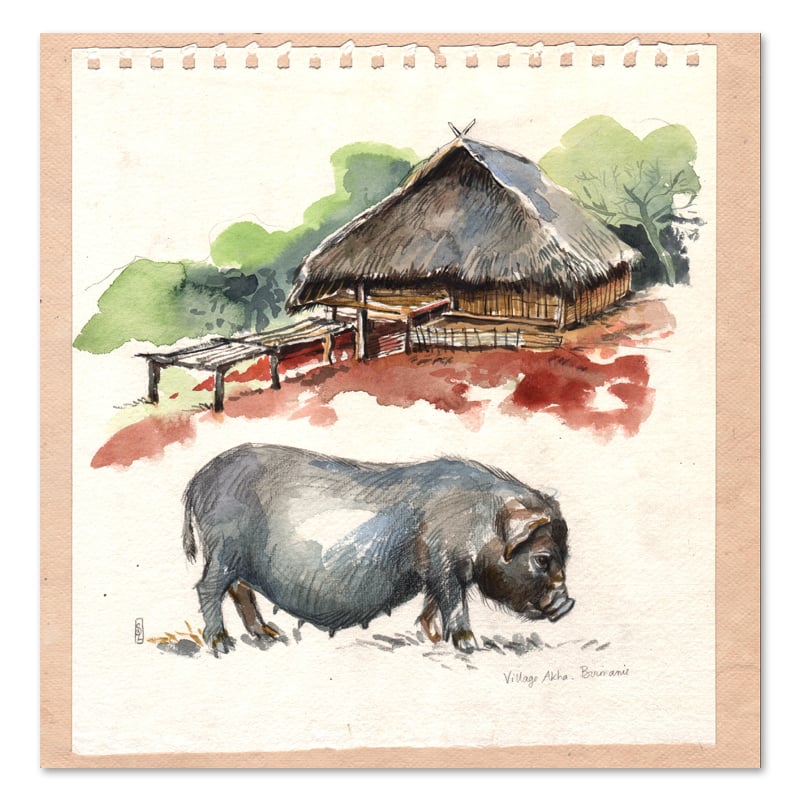 Image of Original Painting - "Cochon et maison Akha" - 30x30 cm