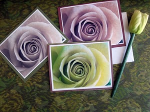 Image of Rose Photograph Cards