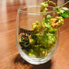 Vox&Hops 9oz Glassware