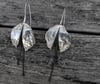 Dangling Oak Hooks