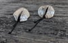 Dangling Oak Hooks