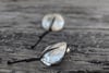 Dangling Oak Hooks