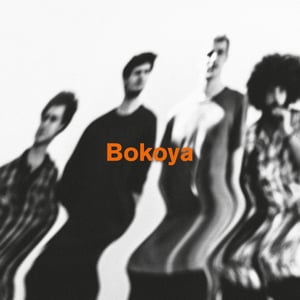 Image of Bokoya - Introducing - LP (WADADA)