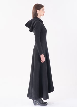 Image of Aster Hooded Long Dress in Heavy Wool