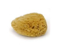 Image 2 of Royal Glow Dead Sea Sponge™Luxury Natural Exfoliating Bath Sponge (3–5 inches)