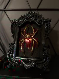 Image 1 of Bleeding Heart