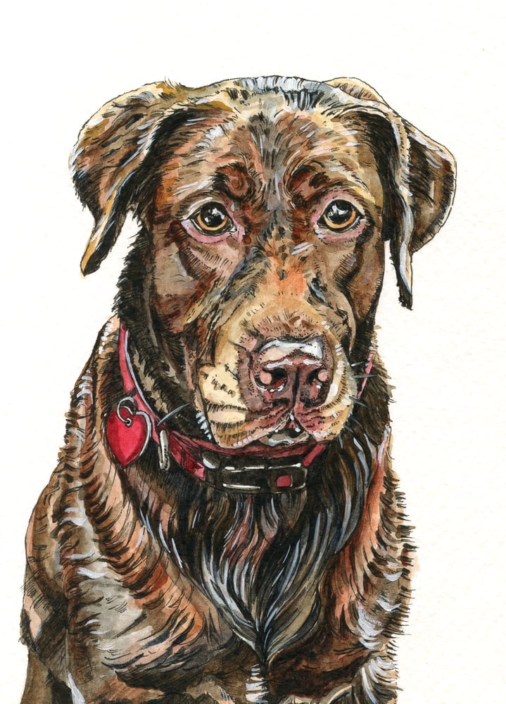 Image of Pet Portrait Commission