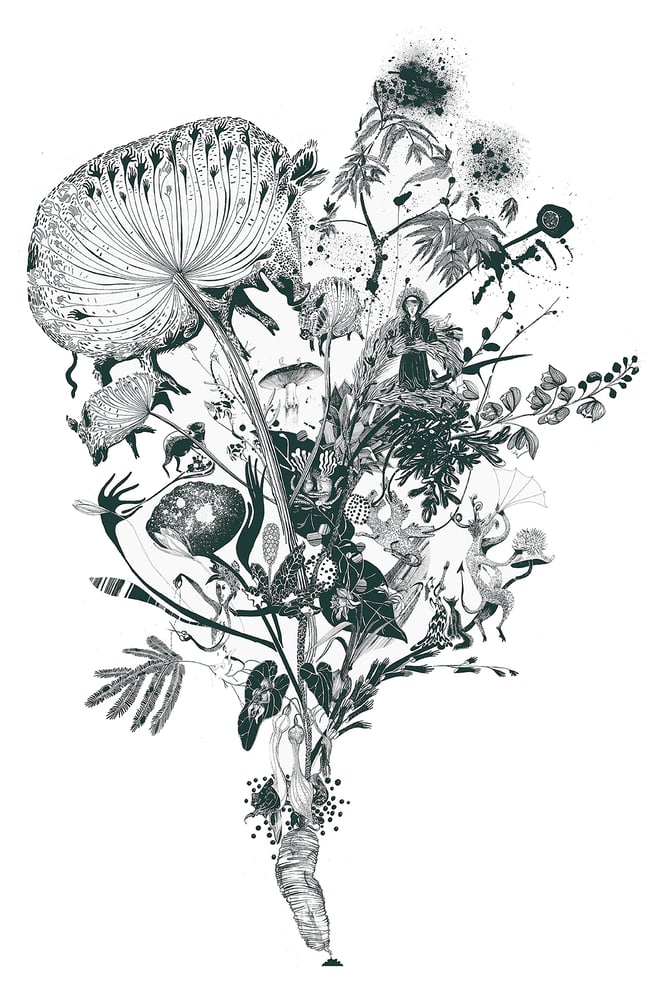 Image of Urpflanze ( Poisons ) Large-scale Limited Edition Screen Print