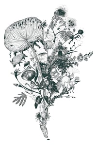 Image 1 of Urpflanze ( Poisons ) Large-scale Limited Edition Screen Print