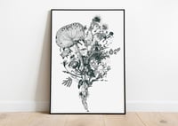 Image 2 of Urpflanze ( Poisons ) Large-scale Limited Edition Screen Print
