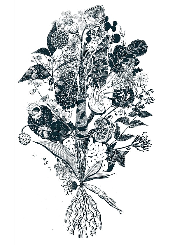 Image of Urpflanze (Medecines) Large-scale Limited Edition Screen Print