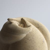 Image 3 of Bud