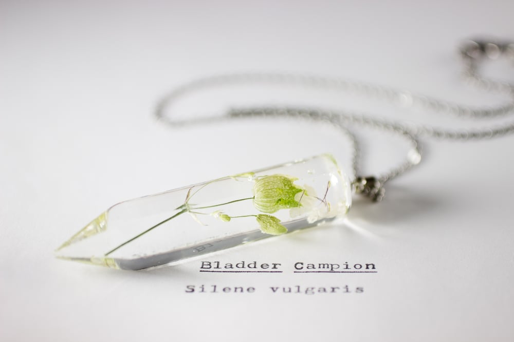 Image of Bladder Campion (Silene vulgaris) - Large Crystalline Pendant #1