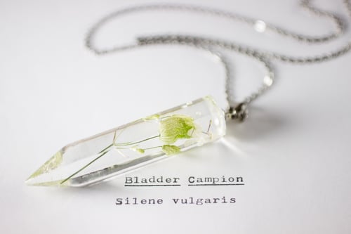 Image of Bladder Campion (Silene vulgaris) - Large Crystalline Pendant #1