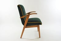 Image 2 of Fauteuils FLAMINGO verts sapin