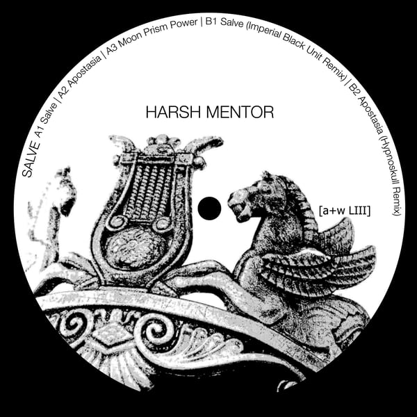 Image of [a+w LIII] Harsh Mentor - Salve 12" 