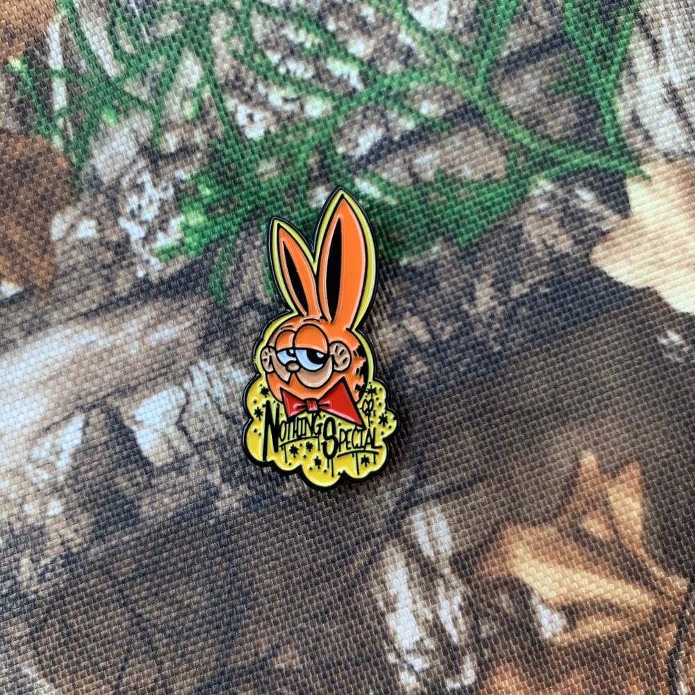 Image of Nothing special co pin 