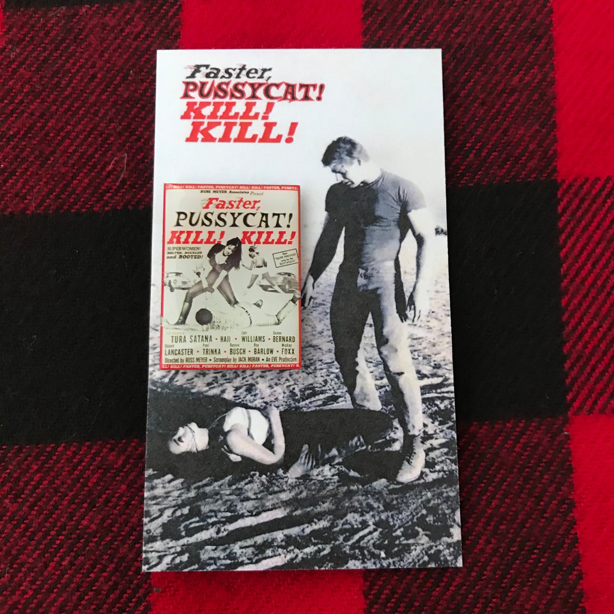 Faster, Pussycat! Kill! Kill! 額入りポスター‼️ Faster, Pussycat! Kill! Kill! 額入りポスター‼️ FASTER