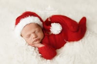 Image 3 of Mr. & Mrs. Claus