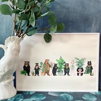 Image 2 of Bears and Plants on White 