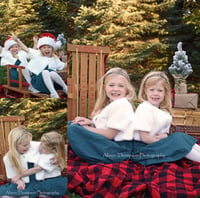 Image 3 of Secret Garden & Christmas Minis  - 20 Minutes - 10 Images - $100