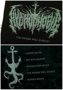 Image of the swarm will evolve EP