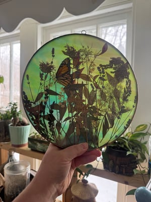 Wildflower field with monarch