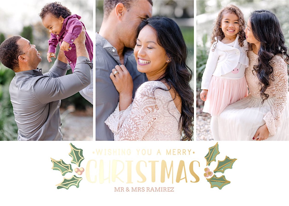 Image of Holiday Mini Session