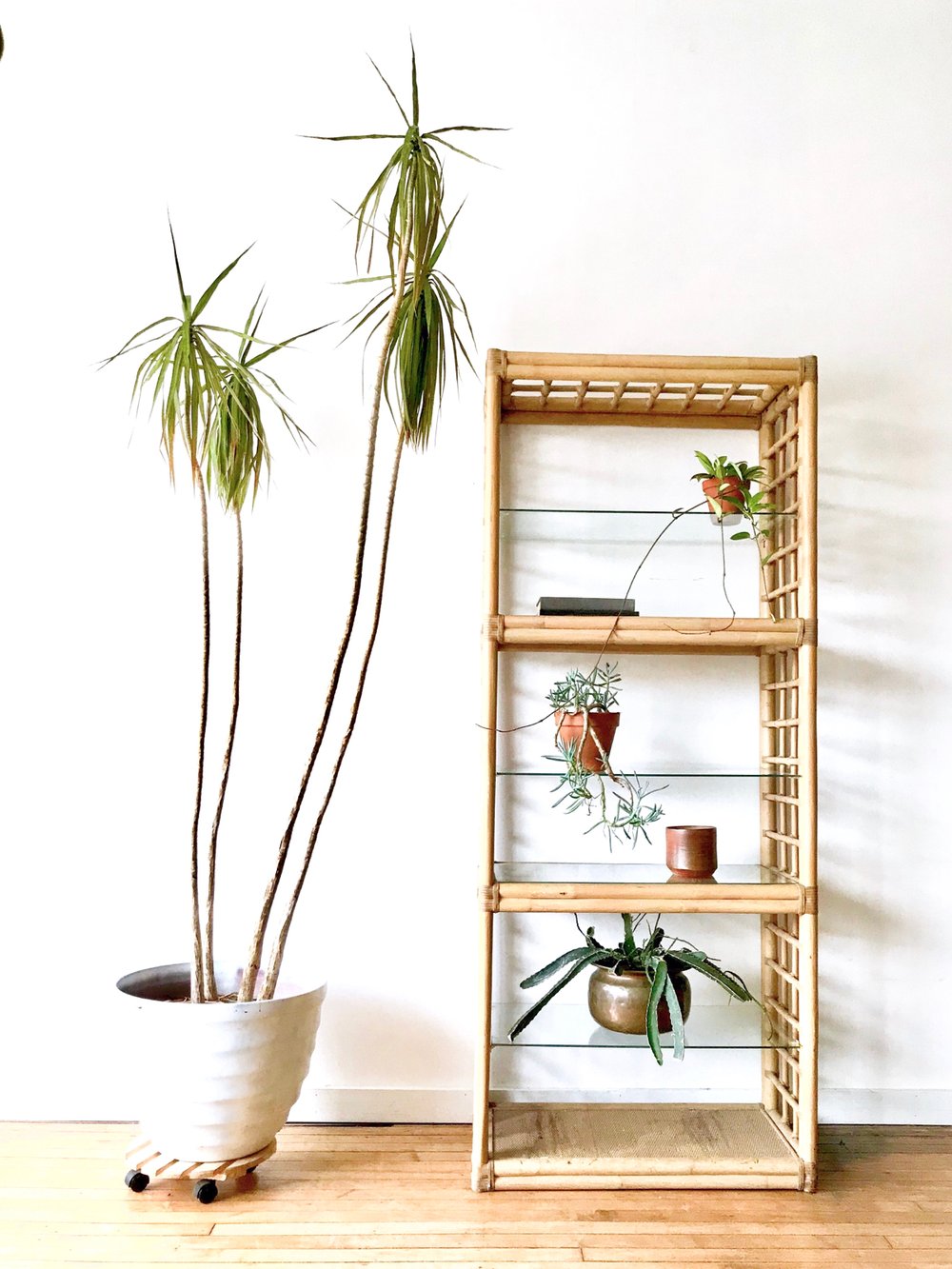 Image of Large Vintage Rattan Shelving Unit