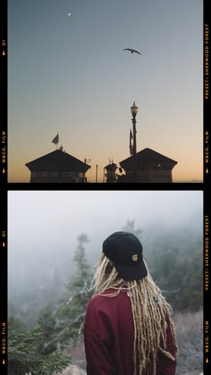 Image of The Authentic Collection Presets No. 02