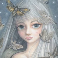 Image 2 of A Call to Hawkmoths