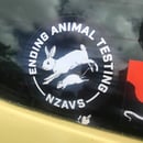 Image of STICKER - ENDING ANIMAL TESTING 