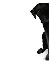 Image 1 of Fine art print: Is this a ruse?