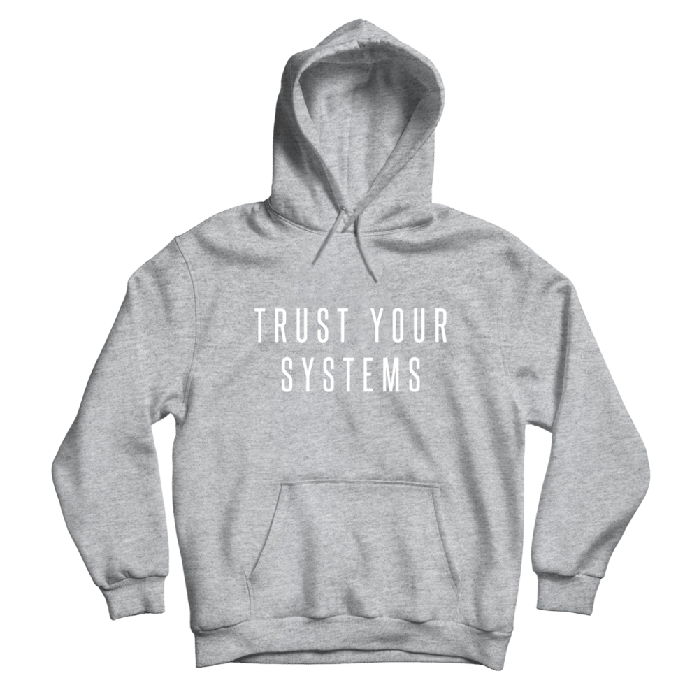 Image of Trust Your Systems – Mantra Hoodie (Gray)