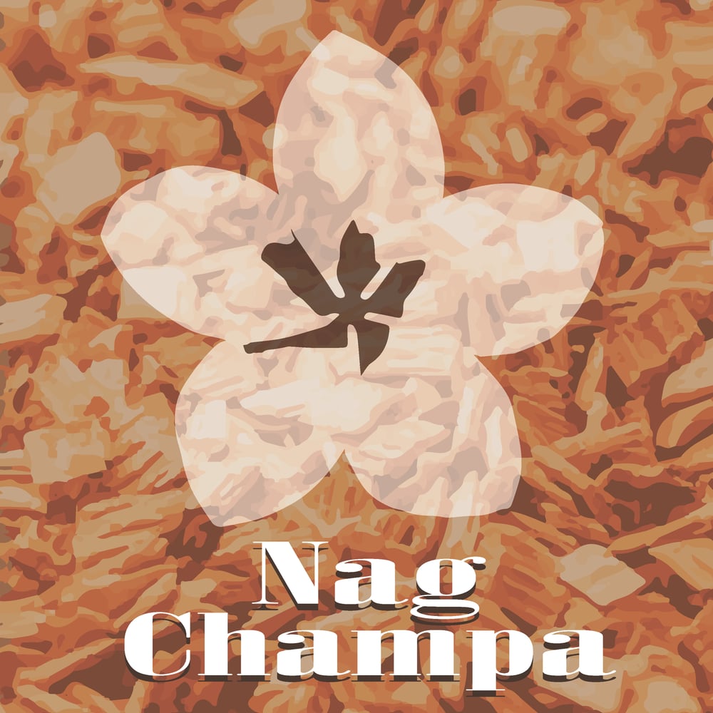 Image of Nag Champa