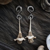 Bone Ear Weights