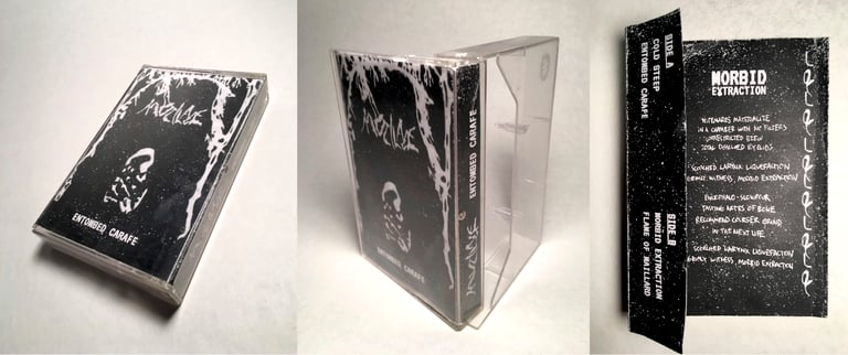 STM002 - MORBID EXTRACTION Image 3